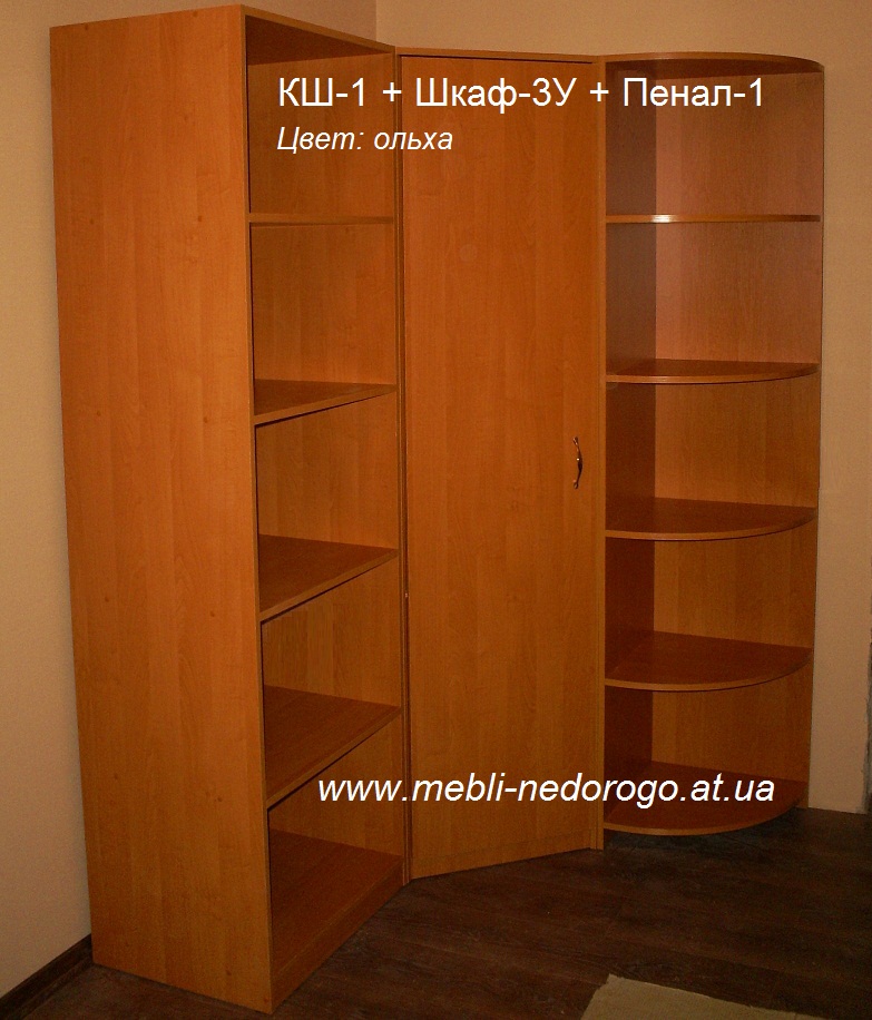 Шкаф книжный, детская стенка горка, стеллаж-шкаф книжный, гардеробная фото, купить книжный шкаф-стеллаж в Киеве
